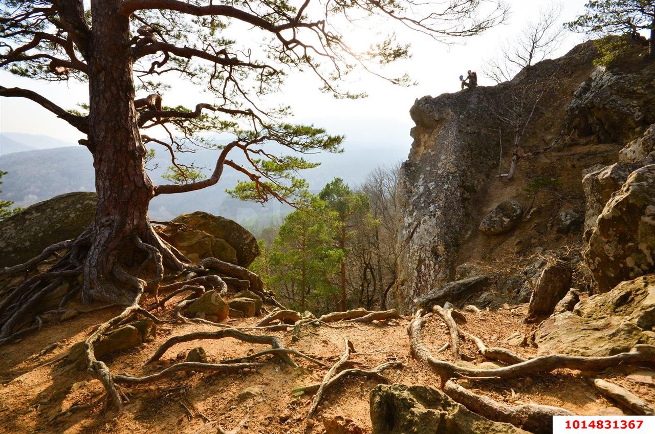 Фото №17: Дом 96 м² + 10.31 сот. - Планческая Щель, ул. Заречная, 14