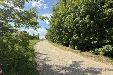 Фото №3: Личное подсобное хозяйство 21 сот. - Новомышастовская, ул. Больничная