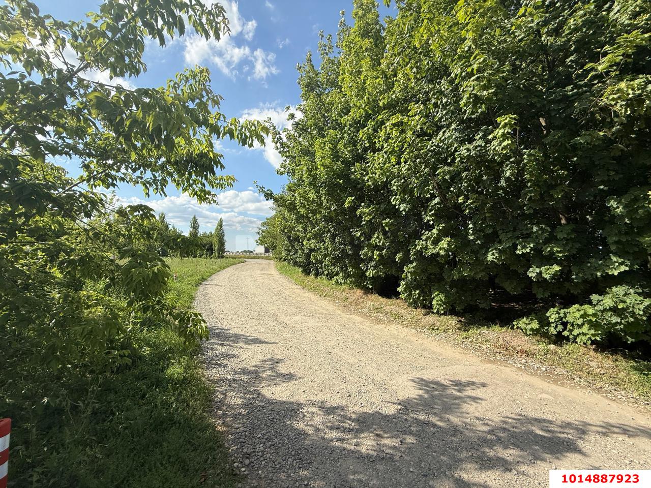 Фото №3: Личное подсобное хозяйство 21 сот. - Новомышастовская, ул. Больничная