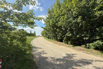 Фото №3: Коммерция 21 м² - Новомышастовская, ул. Больничная