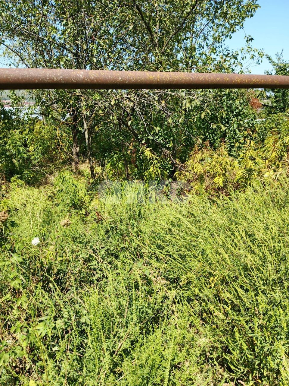 Фото №5: Земельный участок под ИЖС 6 сот. - Горячий Ключ, Курортная Зона, ул. Горная, 21