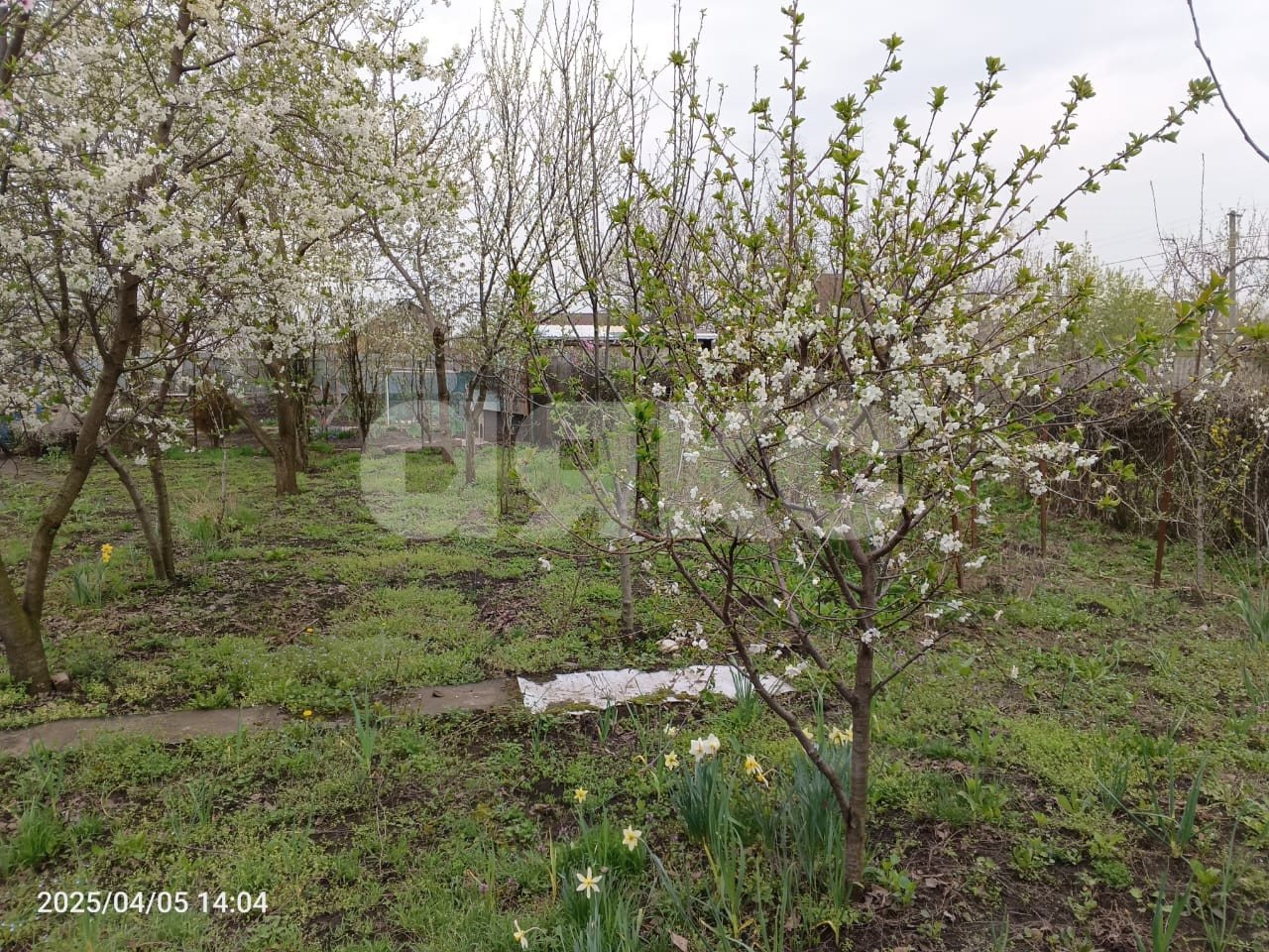 Фото №3: Участок садоводство 6.5 сот. - Армавир, СНТ Заря Востока, 571