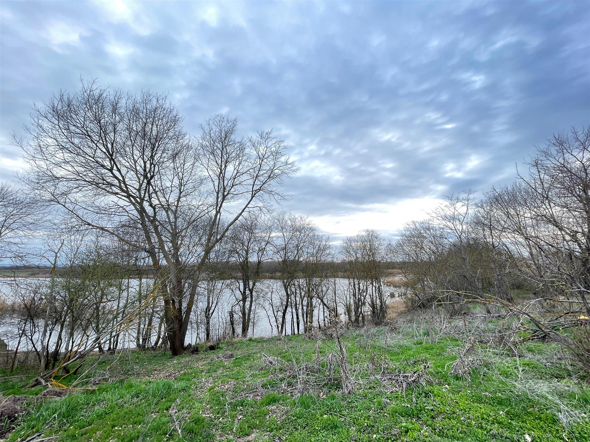 Фото №6: Коммерция 32 м² - садово- Адыгея