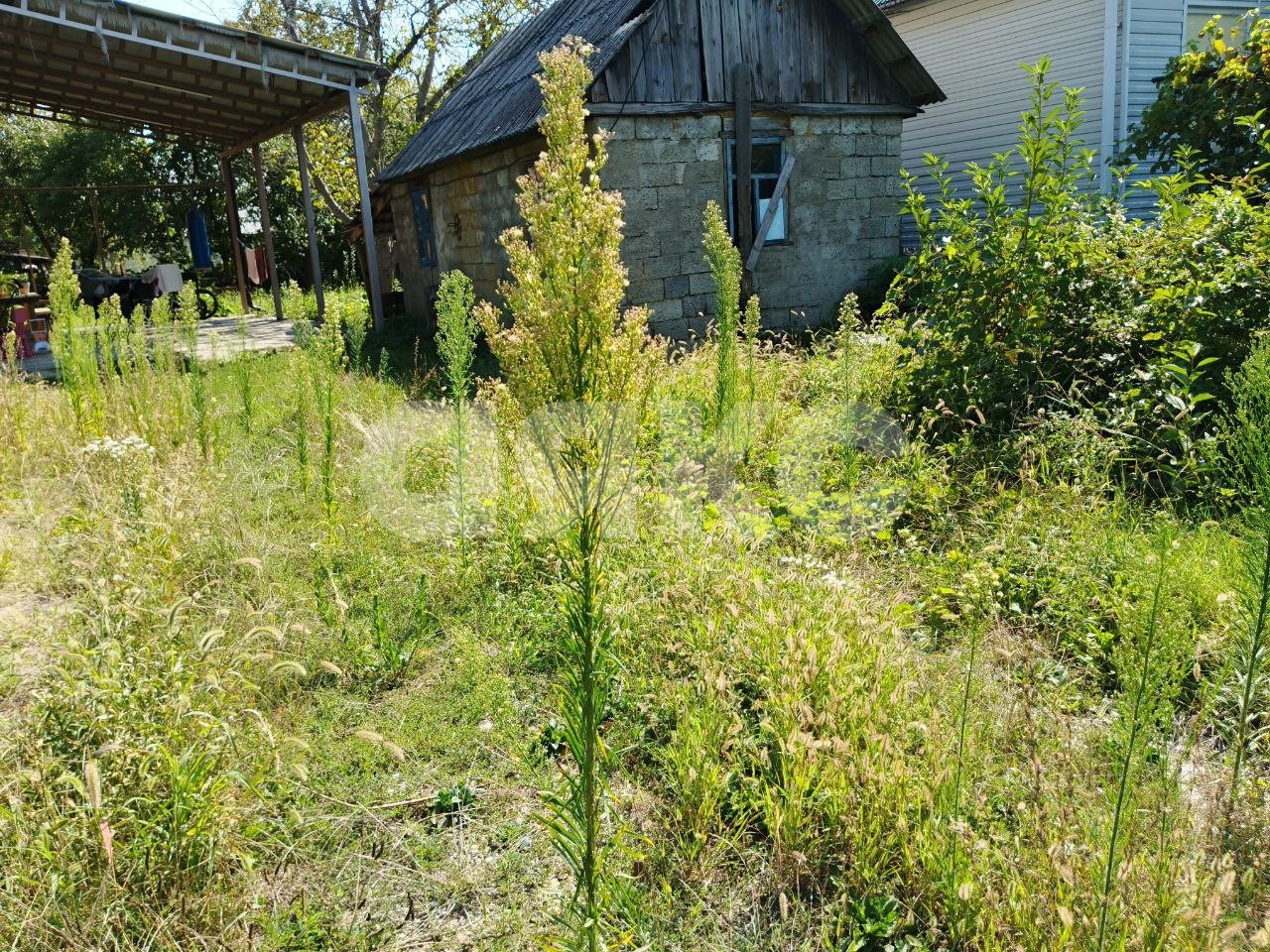 Фото №5: Земельный участок под ИЖС 4 сот. - Горячий Ключ, Курортная Зона, ул. Черноморская