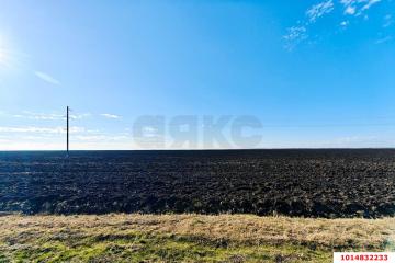 Фото №5: Коммерция 651 м² - Республика Адыгея (Адыгея) Теучежский район