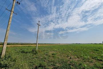 Фото №2: Коммерция 651 м² - Республика Адыгея (Адыгея) Теучежский район