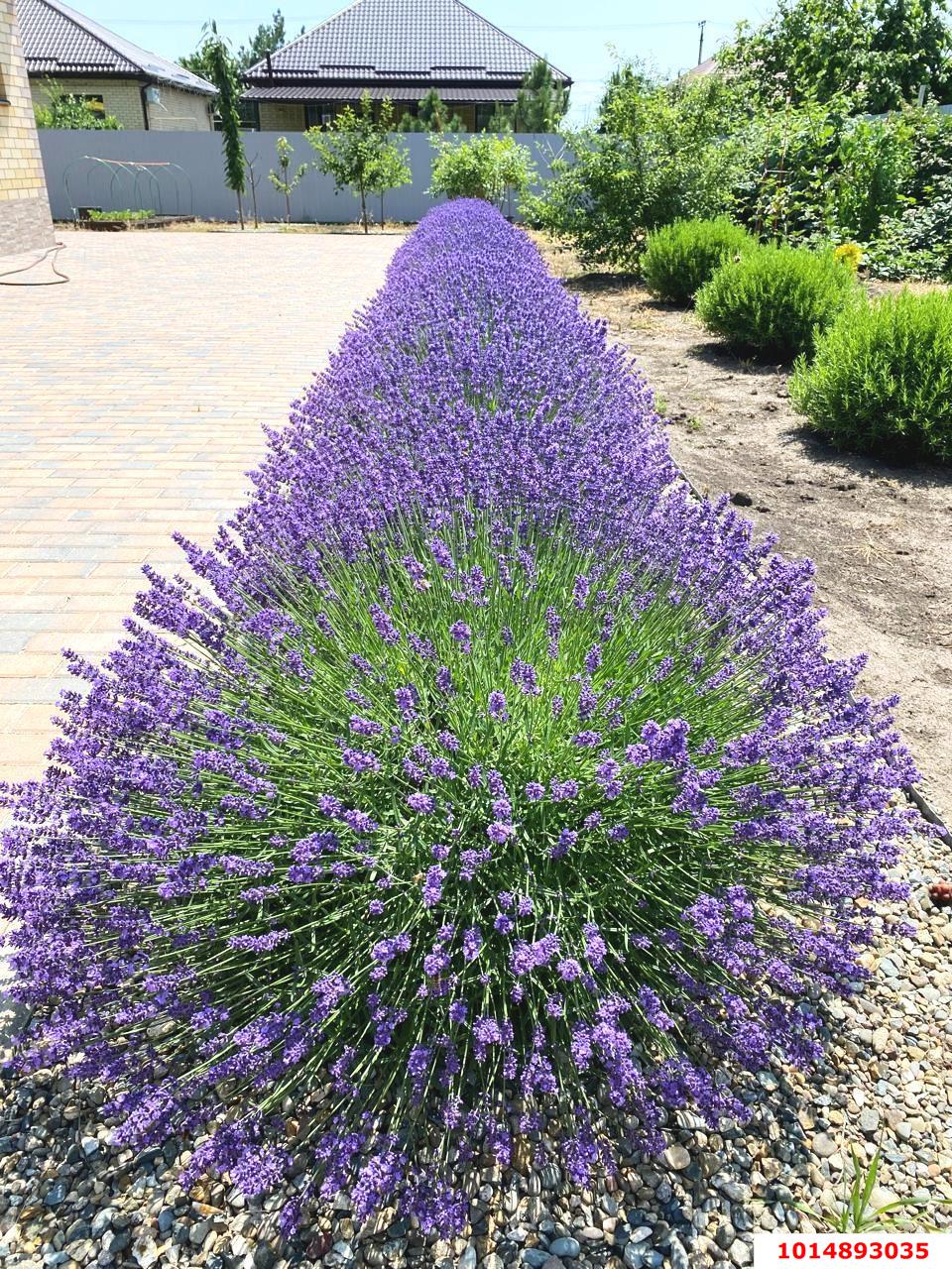 Фото №17: Дом 145 м² + 10.2 сот. - Марьянская, ул. Свердлова, 117