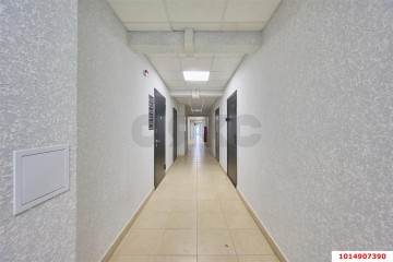 Фото №5: Торговое помещение 65 м² - Краснодар, мкр. жилой комплекс Радуга, ул. Евгении Жигуленко, 7к1