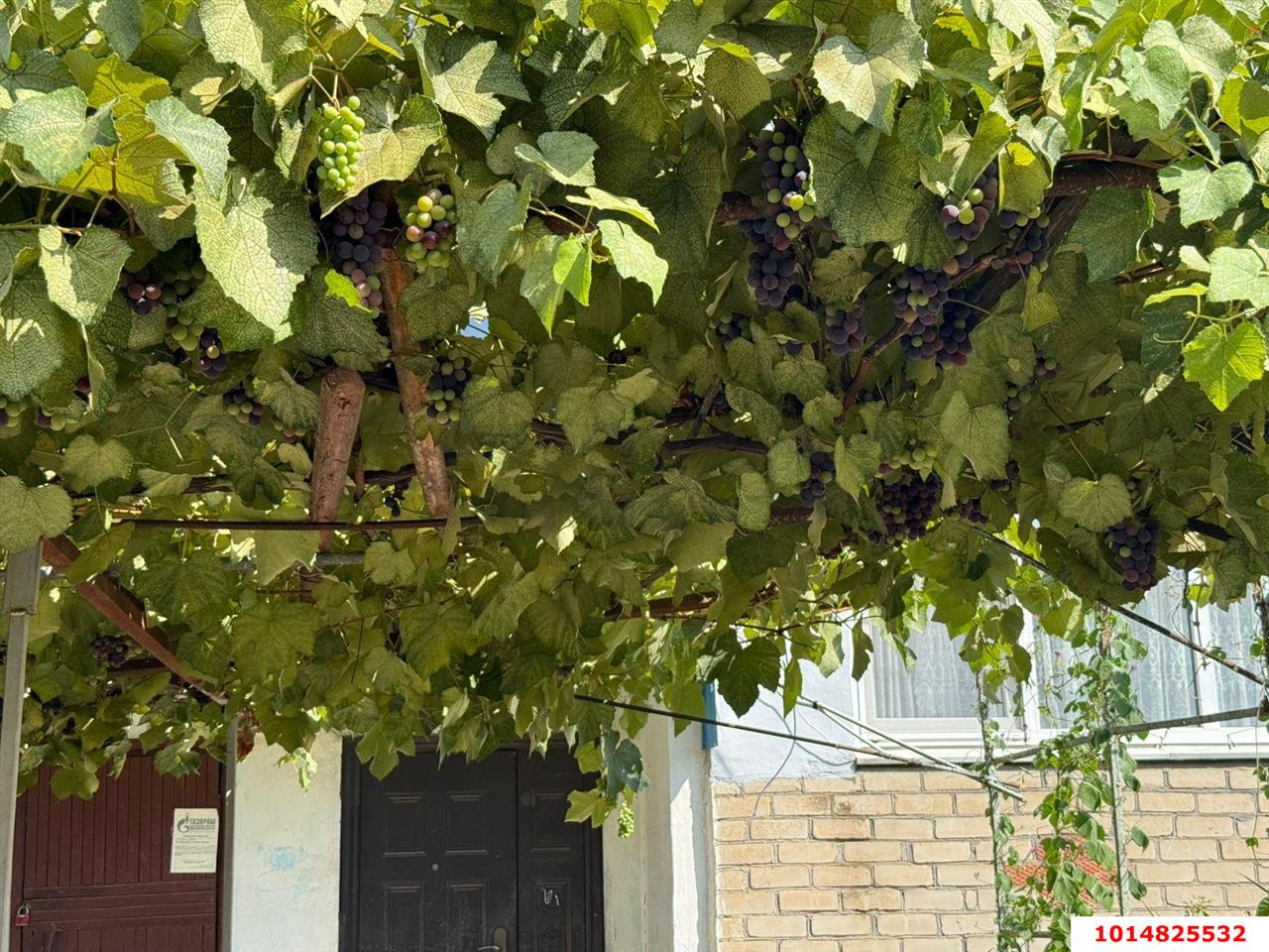 Фото №15: 2-комнатная квартира 48 м² - Южный, ул. Мира, 36