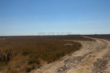 Фото №5: Личное подсобное хозяйство 6 сот. - Евпатория, мкр. Пересыпь, ул. Симферопольская, 9/39
