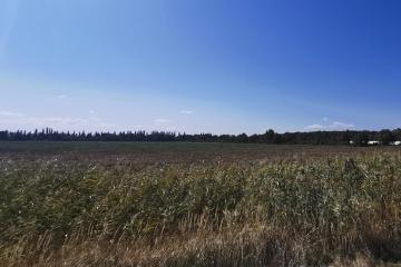 Фото №5: Коммерция 574 м² - Республика Адыгея (Адыгея) Тахтамукайский район