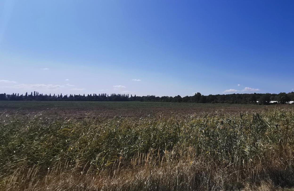 Фото №5: Коммерция 574 м² - Республика Адыгея (Адыгея) Тахтамукайский район