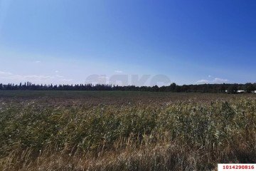 Фото №5: Коммерческая земля 574 сот. - Республика Адыгея (Адыгея) Тахтамукайский район