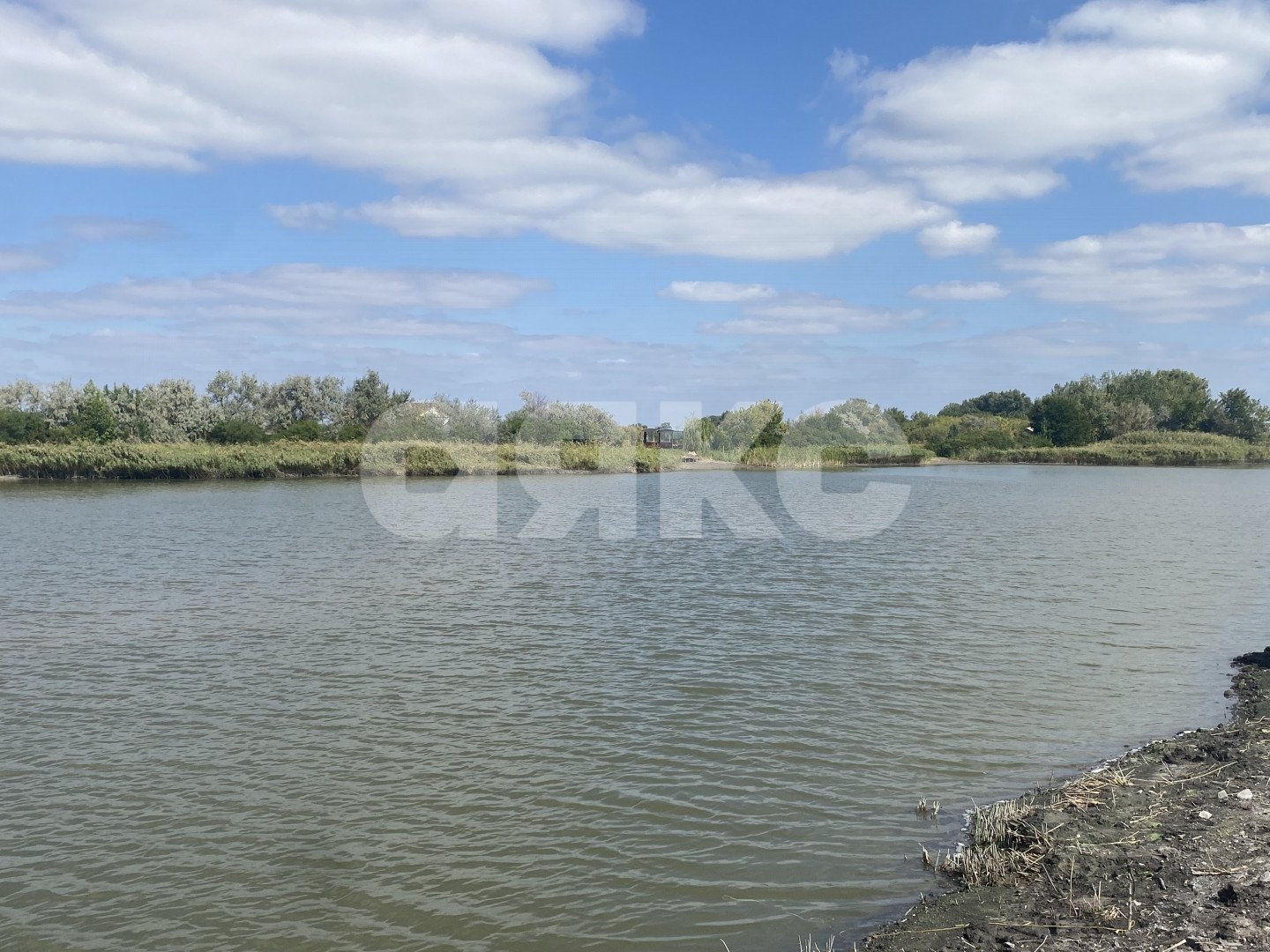 Фото №16: Дом 48 м² + 6 сот. - Лагутник, ул. Береговая, 100