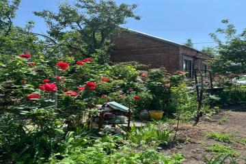 Фото №4: Дом 70 м² - СНТ Нива, мкр. Прикубанский внутригородской округ, ул. Сливовая, 564