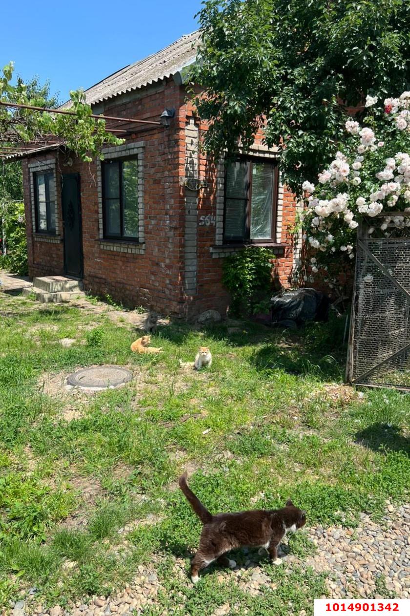 Фото №4: Дом 35 м² + 4 сот. - СНТ Нива, Прикубанский внутригородской округ, ул. Сливовая, 564