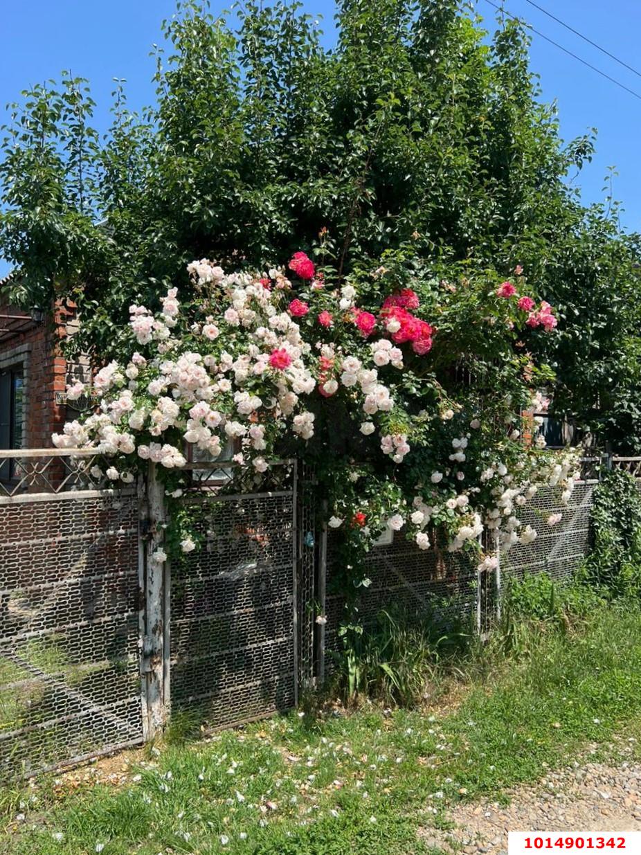 Фото №2: Дом 35 м² + 4 сот. - СНТ Нива, Прикубанский внутригородской округ, ул. Сливовая, 564