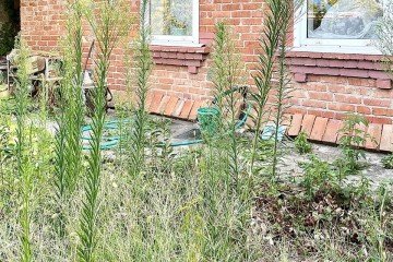 Фото №2: Дом 30 м² - Яблоновский, ул. Котовского, 10