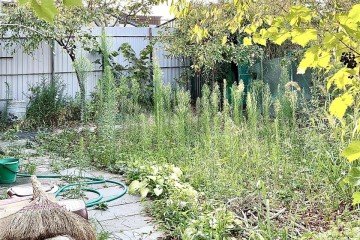 Фото №5: Дом 30 м² - Яблоновский, ул. Котовского, 10