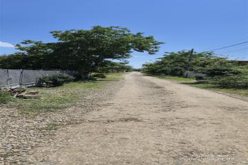 Фото №4: Земельный участок 7.95 сот. - СНТ Хуторок-2, мкр. Прикубанский внутригородской округ, 331