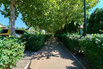 Фото №4: Земельный участок 4 сот. - Краснодар, ст КНИИСХ, ул. 22-я Линия