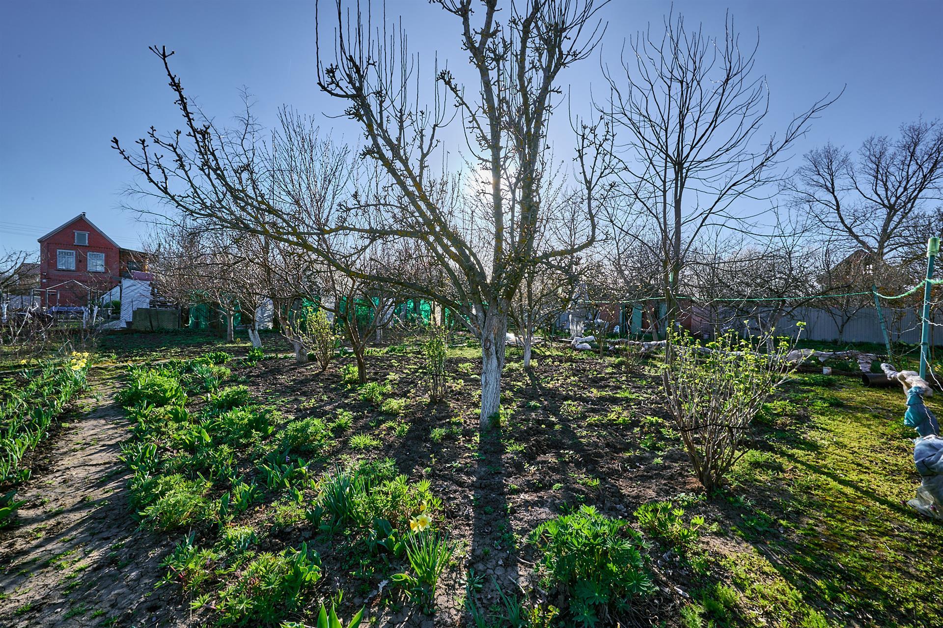 Фото №12: Дом 15 м² + 12 сот. - Лотос, мкр. Прикубанский внутригородской округ, ул. Ромашковая, 314