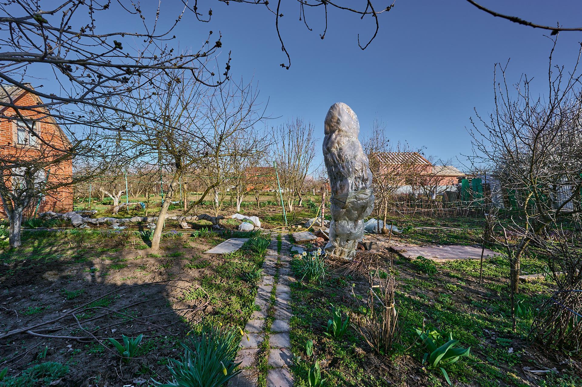 Фото №3: Дом 15 м² + 12 сот. - Лотос, мкр. Прикубанский внутригородской округ, ул. Ромашковая, 314