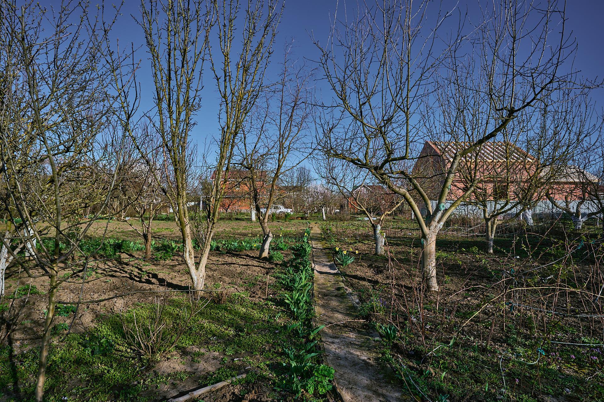 Фото №5: Дом 15 м² + 12 сот. - Лотос, мкр. Прикубанский внутригородской округ, ул. Ромашковая, 314