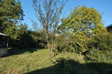 Фото №1: Дом 26 м² - Дорожник, мкр. Прикубанский внутригородской округ, ул. Абрикосовая