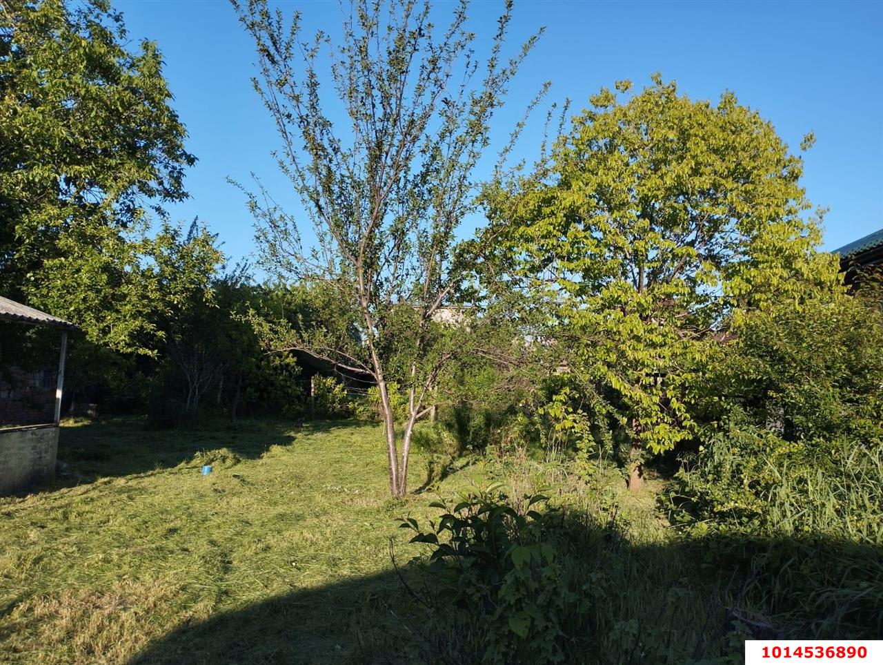 Фото №1: Дом 26 м² + 6.1 сот. - Дорожник, Прикубанский внутригородской округ, ул. Абрикосовая