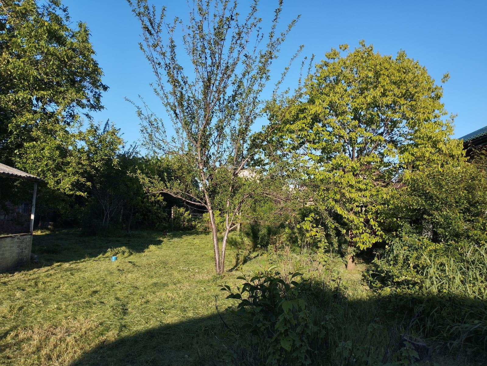 Фото №1: Земельный участок 6 сот. - Дорожник, мкр. Прикубанский внутригородской округ, ул. Абрикосовая