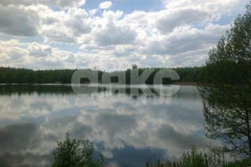 Фото №3: Дачное некоммерческое партнерство - Булгаково, 