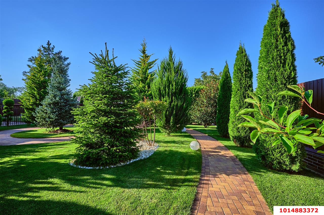 Фото №10: Дом 123 м² + 12 сот. - Елизаветинская, некоммерческое  Ветеран, ул. Яблоневая, 4