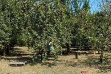 Фото №3: Коммерческая земля 7 сот. - Железнодорожник-3, мкр. Карасунский внутригородской округ, ул. Ореховая