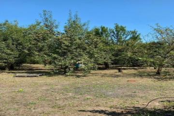 Фото №3: Коммерция 6 м² - Железнодорожник-3, мкр. Карасунский внутригородской округ, ул. Ореховая