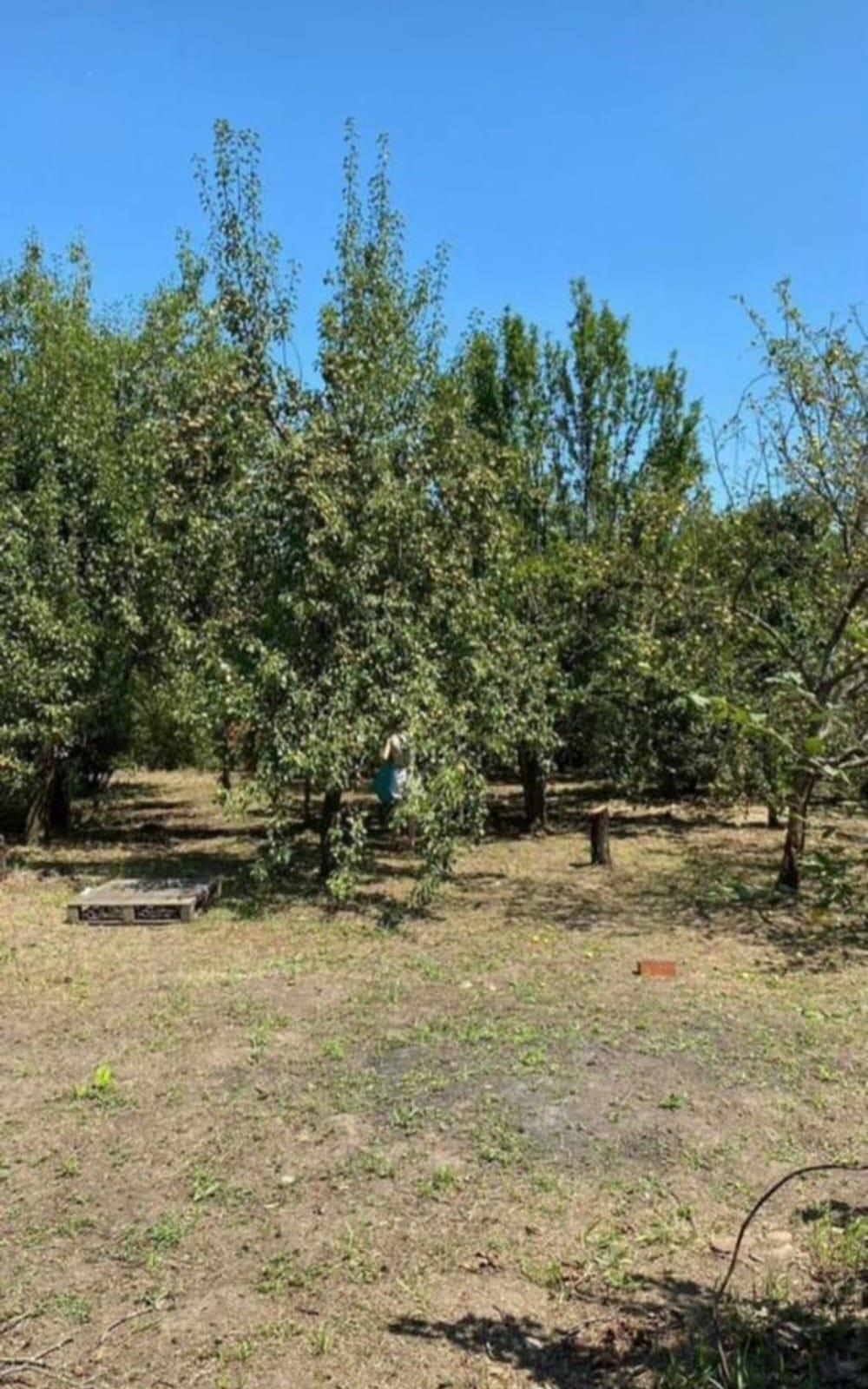 Фото №3: Коммерция 6 м² - Железнодорожник-3, мкр. Карасунский внутригородской округ, ул. Ореховая