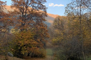 Фото №1: Земельный участок под ИЖС 248.74 сот. - Теберда, ул. Джамагатская