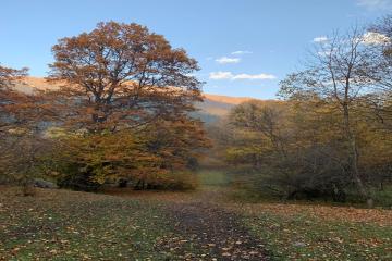 Фото №1: Земельный участок 248.74 сот. - Теберда, ул. Джамагатская