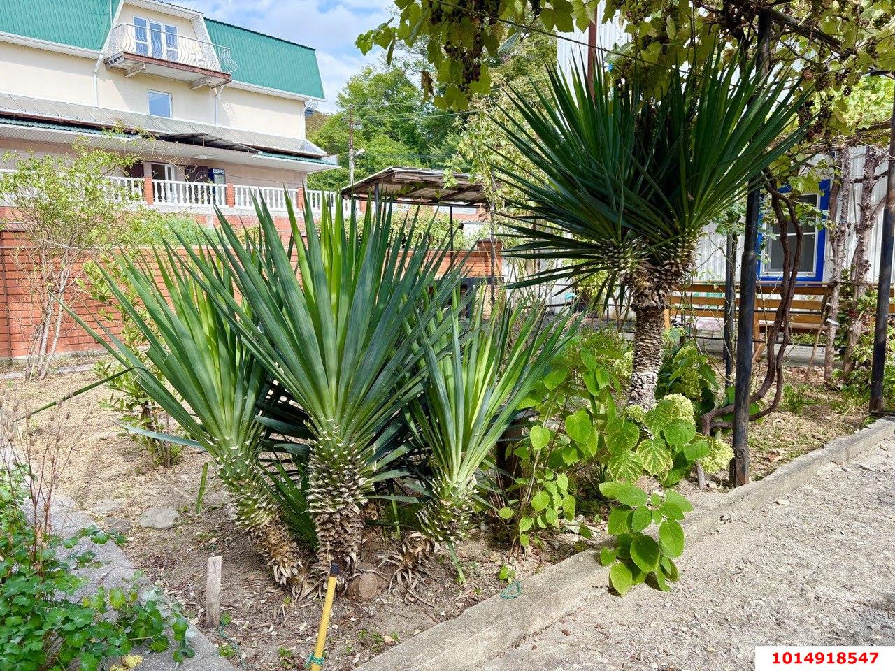 Фото №5: Дом 390 м² + 5 сот. - Новомихайловский, пер. Автобазовский, 2