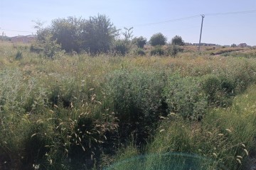 Фото №2: Личное подсобное хозяйство 10 сот. - Старобжегокай, ул. Почтовая