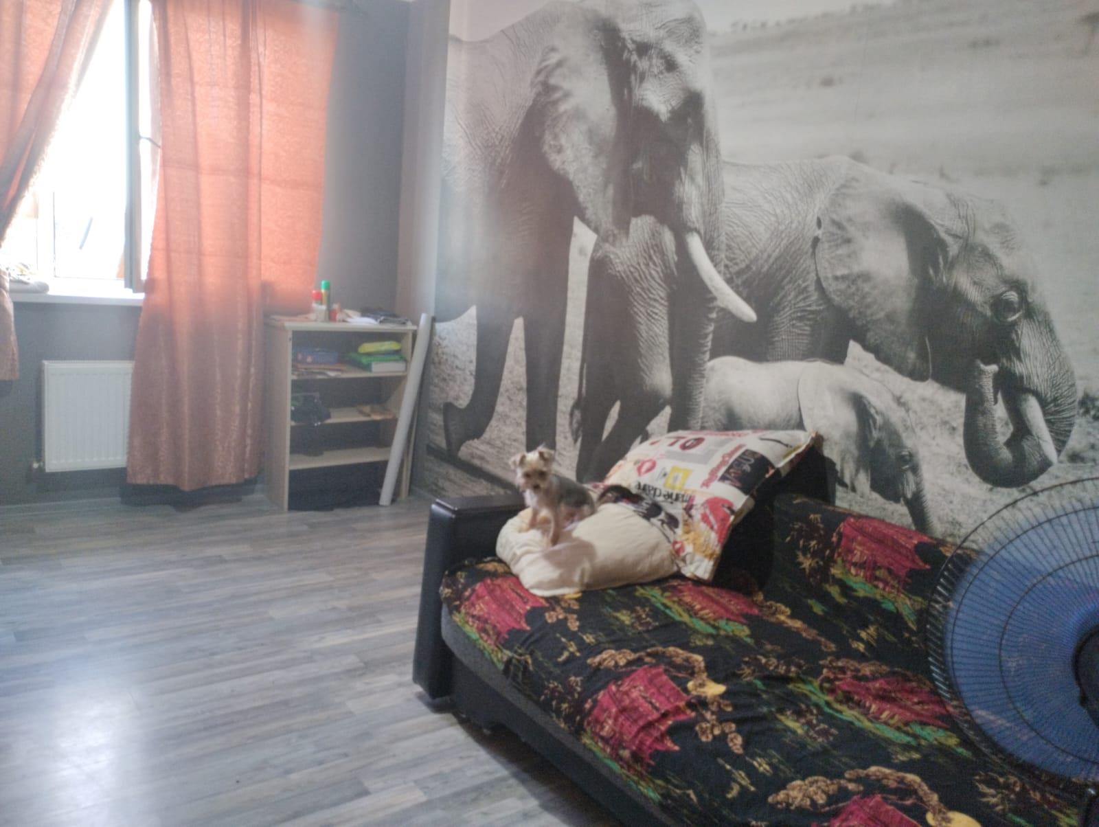 Фото №8: 1-комнатная квартира 36 м² - Краснодар, Прикубанский внутригородской округ, Калинино, мкр. Завод Радиоизмерительных Приборов, ул. 1 Мая, 556/1