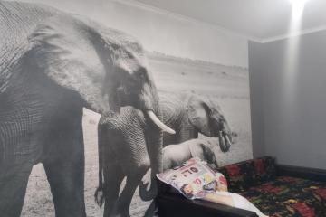 Фото №4: 1-комнатная квартира 36 м² - Краснодар, мкр. Завод Радиоизмерительных Приборов, ул. 1 Мая, 556/1