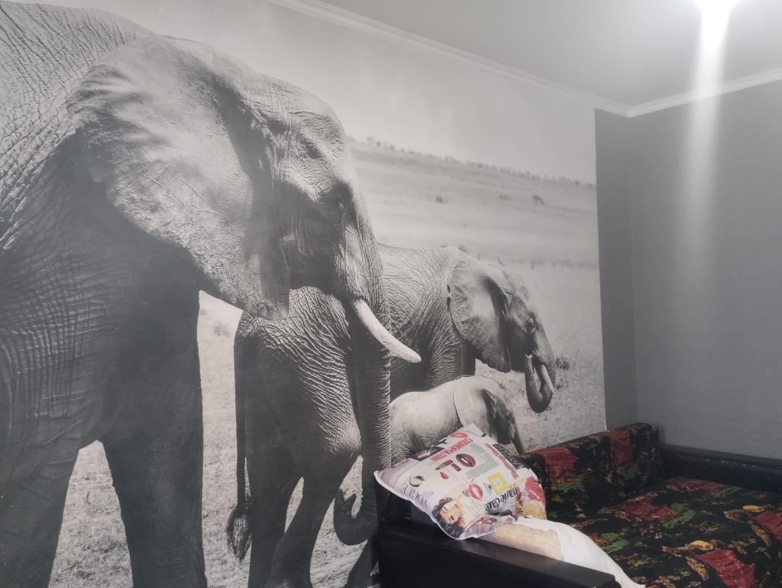 Фото №4: 1-комнатная квартира 36 м² - Краснодар, Прикубанский внутригородской округ, Калинино, мкр. Завод Радиоизмерительных Приборов, ул. 1 Мая, 556/1