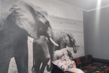 Фото №4: 1-комнатная квартира 36 м² - Краснодар, мкр. Завод Радиоизмерительных Приборов, ул. 1 Мая, 556/1