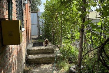 Фото №2: Дом 45 м² - Краснодар, мкр. Камвольно-суконный Комбинат, пр-д 2-й Сормовский, 85