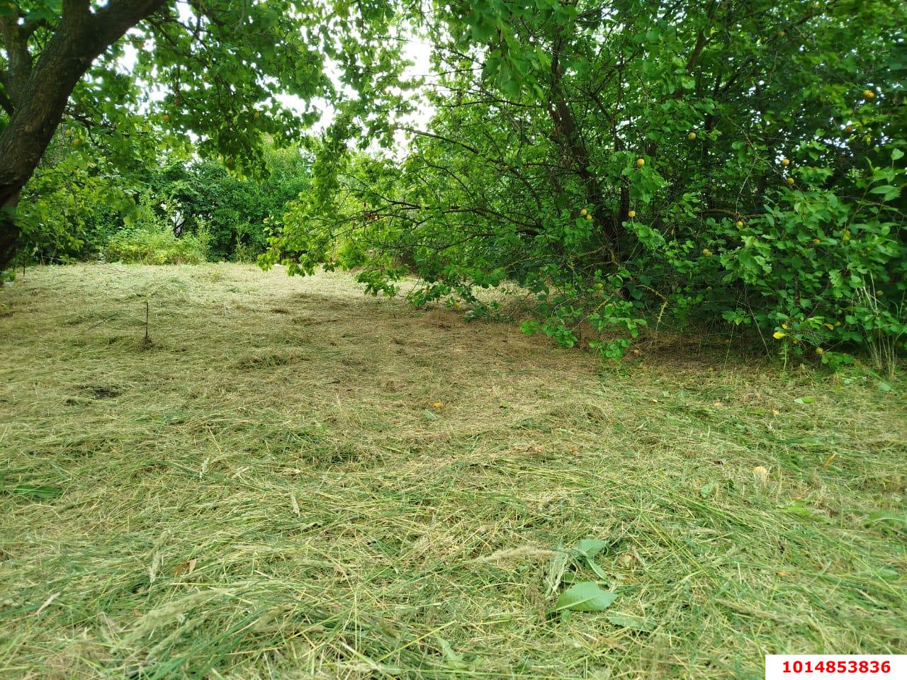 Фото №8: Дом 53 м² + 8.69 сот. - Молдаванское, ул. Энгельса, 21