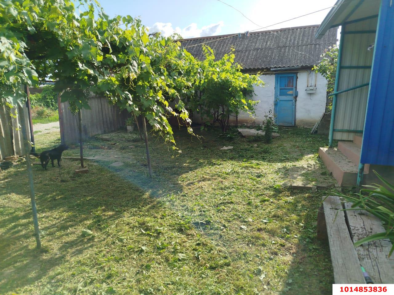 Фото №7: Дом 53 м² + 8.69 сот. - Молдаванское, ул. Энгельса, 21