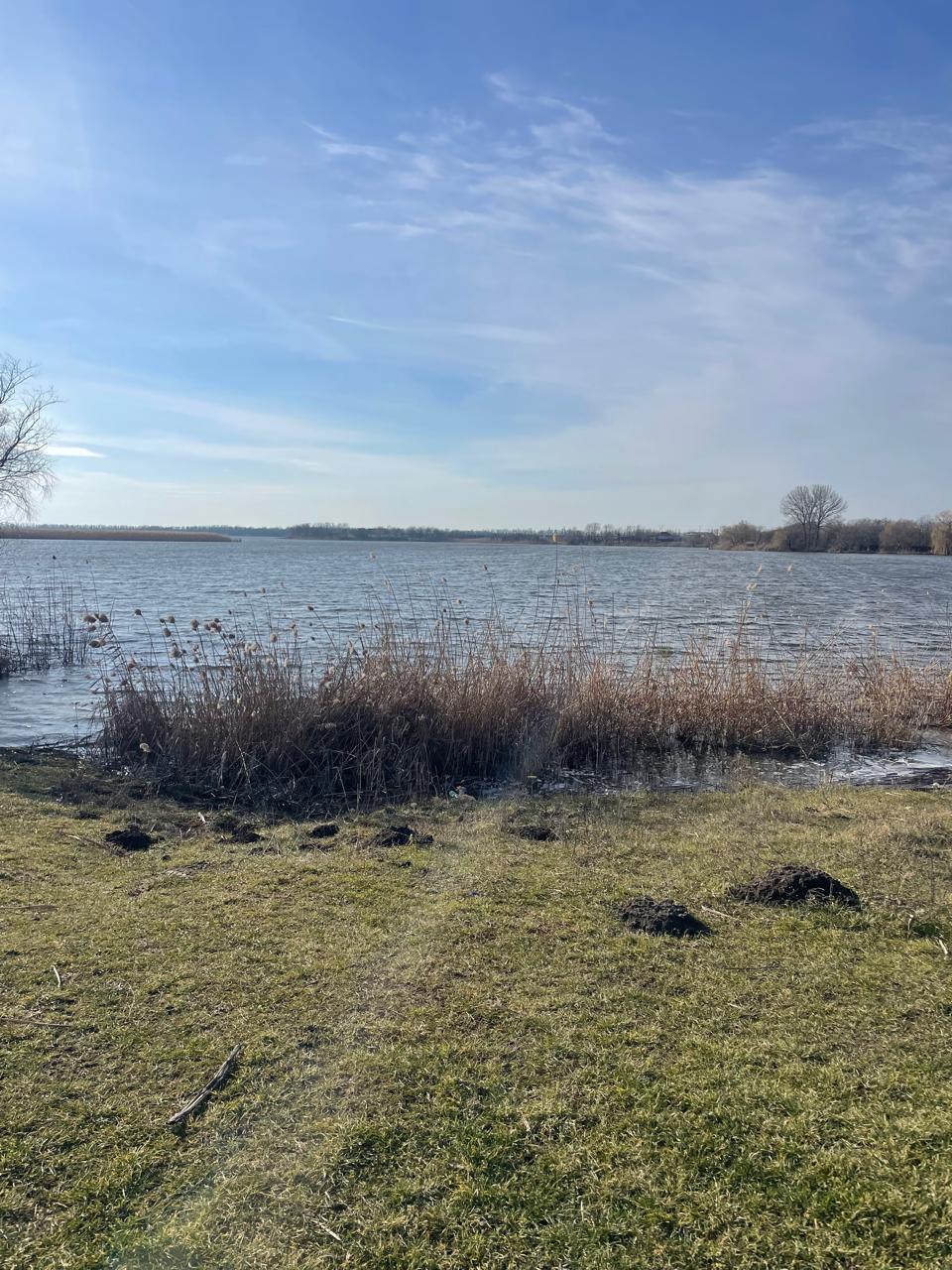 Фото №6: Коммерция 10000 м² - Тимашевск, мкр. Молодёжный жилой комплекс, ул. Западная, 12