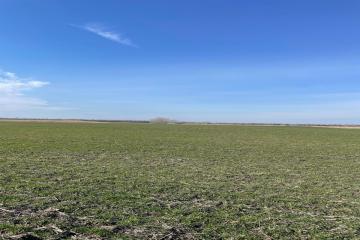 Фото №5: Коммерция 10000 м² - Тимашевск, мкр. Молодёжный жилой комплекс, ул. Западная, 12