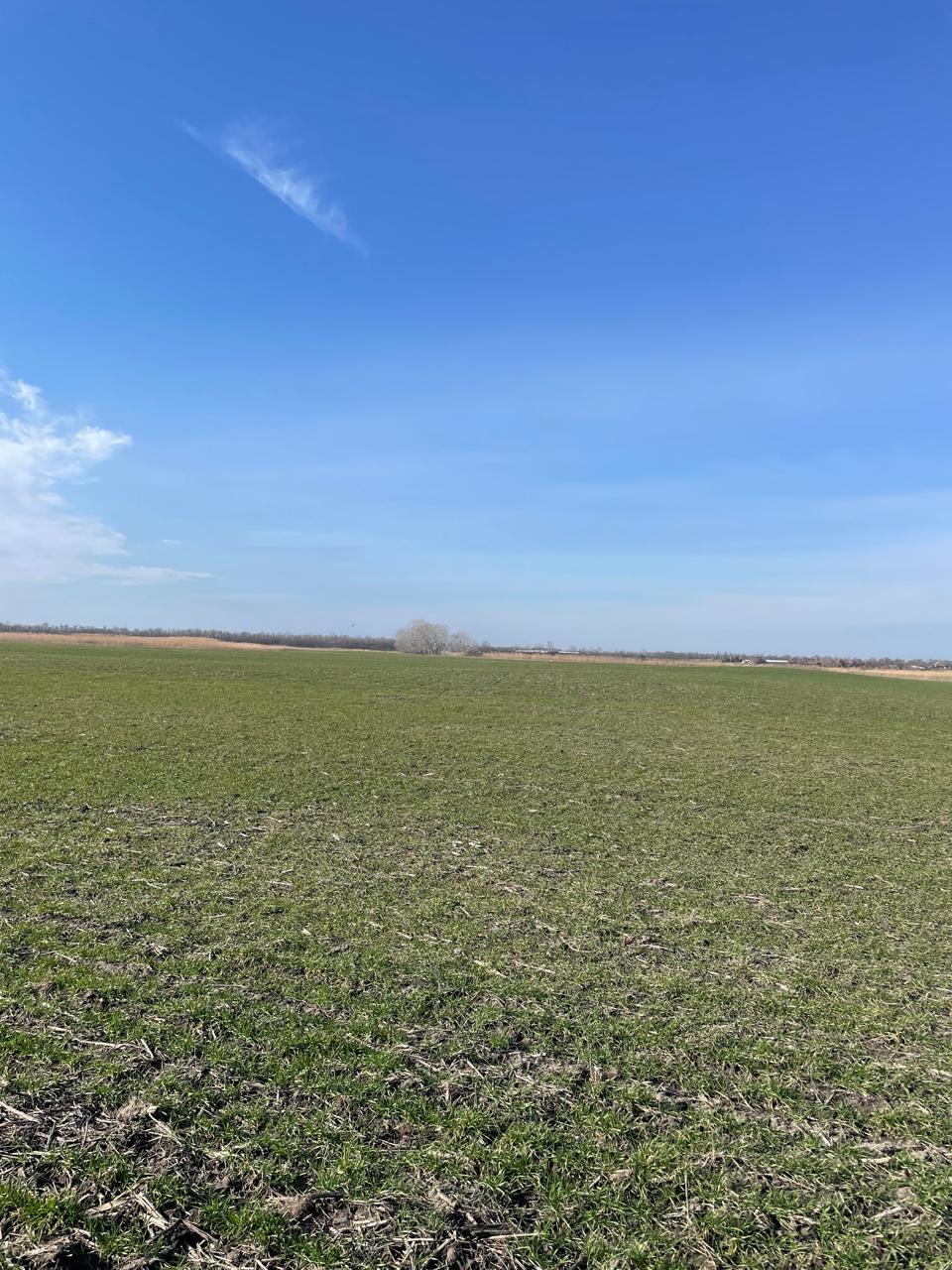 Фото №5: Коммерция 10000 м² - Тимашевск, мкр. Молодёжный жилой комплекс, ул. Западная, 12